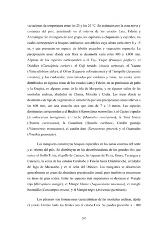 variaciones de temperatura entre los 23 y los 29 °C. Se extienden por la zona norte y
costanera del país, penetrando en el interior de los estados Lara, Falcón y
Anzoátegui. Se distinguen de este grupo, los espinares o chaparrales y cujizales; los
cuales corresponden a bosques semisecos, con árboles cuya altura varía entre 8 y 15
m, y que presentan un aspecto de árboles pequeños y vegetación esparcida. La
precipitación anual donde esta flora se desarrolla varía entre 800 y 1.000 mm.
Algunas de las especies corresponden a el Cují Yaque (Prosopis juliflora), el
Dividive (Caesalpinia coriara), el Cují torcido (Acacia tortuosa), el Yacure
(Pithecellobium dulce), el Olivo (Capparis odoratissima) y el Trompillo (Jacquinia
revoluta), y los cardonales; caracterizados por cardones y tunas, los cuales están
distribuidos en algunas zonas de los estados Lara y Falcón, en las penínsulas de paria
y la Guajira, en algunas zonas de la isla de Margarita, y en algunos valles de las
montañas andinas, alrededor de Chama, Motatán y Ureña. Las áreas donde se
desarrolla este tipo de vegetación se caracteriza por una precipitación anual inferior a
los 600 mm, con una estación seca que dura de 7 a 10 meses. Las especies
dominantes corresponden a el Buchito (Mammilaria mammilaris), el Cactus trepador
(Acanthocereus tetragonus), el Buche (Melocatus curvispinus), la Tuna blanca
(Opuntia caracasana), la Guasabara (Opuntia caribaea), Cardón guanajo
(Pilosocereus moritzianus), el cardón dato (Stenocereus griseus), y el Guamacho
(Pereskia guamacho).
Los manglares constituyen bosques especiales en las zonas costeras del norte
y el oriente del país. Se distribuyen en las desembocaduras de los grandes ríos que
surten el Golfo Triste, el golfo de Cariaco, las lagunas de Píritu, Unare, Tacarigua y
Carenero, la costa de los estados Carabobo y Falcón hasta Chichiriviche, alrededor
del lago de Maracaibo y en el delta del Orinoco. Los manglares se desarrollan
generalmente en zonas de abundante precipitación anual, pero también se encuentran
en áreas de gran aridez. Entre las especies más importantes se destacan el Mangle
rojo (Rhizophora mangle), el Mangle blanco (Laguncularia racemosa), el mangle
botoncillo (Conocarpus erectus) y el Mangle negro (Avicennia germinans).
Los páramos son formaciones características de las montañas andinas, desde
el estado Táchira hasta los límites con el estado Lara. Se pueden presentar a 1.700
207
 