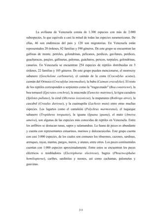 La avifauna de Venezuela consta de 1.300 especies con más de 2.000
subespecies, lo que equivale a casi la mitad de todas las especies suramericanas. De
ellas, 46 son endémicas del país y 120 son migratorias. En Venezuela están
representados 20 órdenes, 82 familias y 590 géneros. De este grupo se encuentran las
gallinas de monte, petreles, golondrinas, pelícanos, perdices, gavilanes, perdices,
guacharacas, paujíes, gallinetas, palomas, guácharos, pericos, turpiales, golondrinas,
canarios. En Venezuela se encuentran 254 especies de reptiles distribuidas en 3
órdenes, 22 familias y 105 géneros. De este grupo pueden mencionarse, el morrocoy
sabanero (Geochelone carbonaria), el caimán de la costa (Crocodylus acutus),
caimán del Orinoco (Crocodylus intermedius), la baba (Caiman crocodylus). El resto
de los reptiles corresponden a serpientes como la "tragavenado" (Boa constrictor), la
boa tornasol (Epicrates cenchria), la anaconda (Eunectes mutrinus), la tigra cazadora
(Spilotes pullatus), la coral (Micrurus isozonicus), la mapanares (Bothrops atrox), la
cascabel (Crotalus durissus), y la cuaimapiña (Lachesis muta) entre otras muchas
especies. Los lagartos como el camaleón (Polychrus marmoratus), el tuqueque
sabanero (Tropidurus torquatus), la iguana (Iguana iguana), el mato (Ameiva
ameiva), son algunas de las especies más conocidas de reptiles en Venezuela. Entre
los anfibios se destacan ranas, sapos y salamandras. La fauna de peces es abundante
y cuenta con representantes estuarinos, marinos y dulceacuícolas. Este grupo cuenta
con casi 3.000 especies, de los cuales son comunes los tiburones, cazones, sardinas,
arenques, rayas, mantas, pargos, meros, y atunes, entre otros. Los peces continentales
cuentan con 1.000 especies aproximadamente. Entre estos se encuentran los peces
eléctricos o tembladores (Electriphorus electricus), bagres (Phractocephalus
hemiliopterus), caribes, sardinitas y neones, así como cachamas, palometas y
guavinas.
213
 