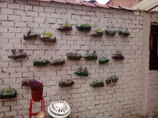 Proyecto. mi querido viejo 2015