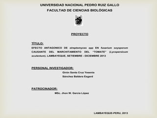 UNIVERSIDAD NACIONAL PEDRO RUIZ GALLO
FACULTAD DE CIENCIAS BIOLÓGICAS
PROYECTO
TÍTULO:
EFECTO ANTAGONICO DE streptomyces spp EN fusarium oxysporum
CAUSANTE DEL MARCHITAMIENTO DEL “TOMATE” (Lycopersicum
sculentum). LAMBAYEQUE, SETIEMBRE - DICIEMBRE 2013
PERSONAL INVESTIGADOR:
Girón Santa Cruz Yesenia
Sánchez Baldera Esgard
PATROCINADOR:
MSc. Jhon W. García López
LAMBAYEQUE-PERU, 2013
 