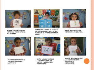 ALBA NO ENSEÑO QUE LAS
HORMIGAS TIENEN 6 PATAS
Y 2 ANTENAS.
FATIMA NOS ESCRIBIÓ LA
PALABRA HORMIGAS….
LLEVA LA H.
DANIEL NOS EXPLICÓ EL TRABAJO
DE LAS OBRERAS . ¡ AH! Y LA QUE
MANDA EN EL HORMIGUERO ES LA
REINA.
HAJAR NOS DIBUJO UNA
HORMIGUITA DE COLORES.
IMANOL NOS ENSEÑO QUE
LAS HORMIGAS VIVEN
JUNTAS EN EL
HORMIGUERO
DAVID NOS EXPLICÓ QUE
LA HORMIGA PONE LOS
HUEVOS Y NO SALE DEL
HORMIGUERO.
 