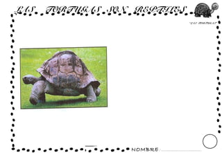 NOMBRE: ...............................
“LAS TORTUGAS”
LAS TORTUGAS SON REPTILES
 