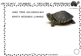 NOMBRE: ...............................
“LAS TORTUGAS”
PONEMOS NOMBRE A NUESTRA TORTUGUITA
COMO TIENE UNA CONCHA MUY
BONITA DECIDIMOS LLAMARLE:
 