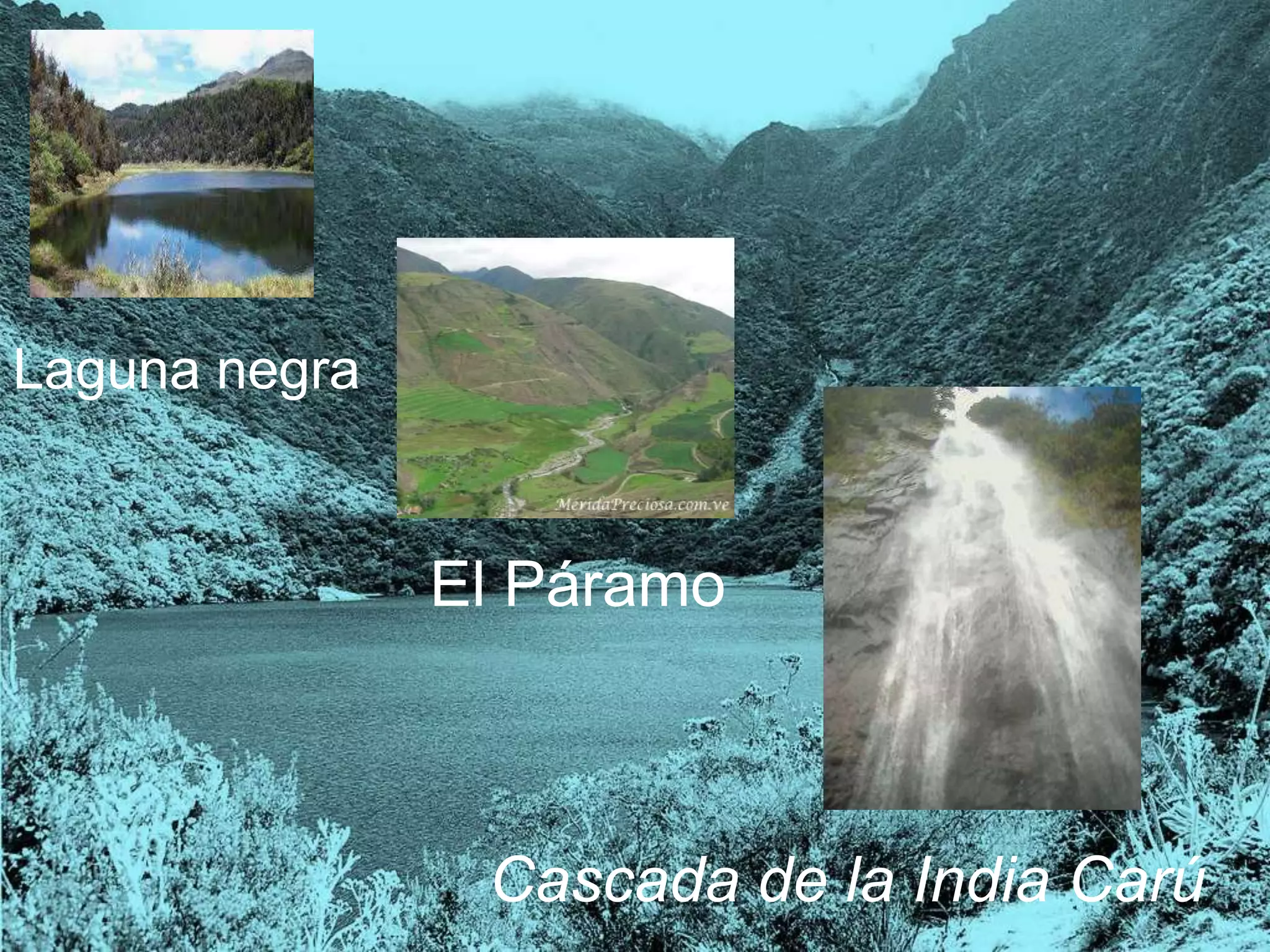 Laguna negra
El Páramo
Cascada de la India Carú
