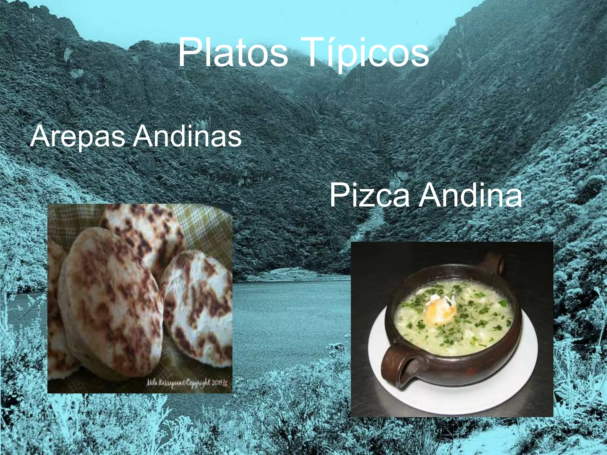 Platos Típicos
Arepas Andinas
Pizca Andina
