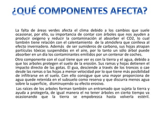 La falta de áreas verdes afecta el clima debido a los cambios que suele
ocasionar, por ello, su importancia de contar con árboles que nos ayuden a
producir oxígeno y reducir la contaminación al absorber el CO2, lo cual
también tiene relación con el calentamiento de la atmósfera que conlleva al
efecto invernadero. Además de ser sumideros de carbono, sus hojas atrapan
partículas tóxicas suspendidas en el aire, por lo tanto un sólo árbol puede
absorber en un día los contaminantes emitidos por un centenar de coches.
Otro componente con el cual tiene que ver es con la tierra y el agua, debido a
que los arboles protegen el suelo de la erosión. Sus ramas y hojas detienen el
impacto directo de las gotas. El gua, desciende a través de los troncos o cae
desde las ramas o las hojas a menor velocidad por lo que tiene más posibilidad
de infiltrarse en el suelo. Con ello consigue que una mayor proporciona de
agua quede retenida en el subsuelo como reserva y que discurra menos agua
sobre la superficie, disminuyendo su efecto erosivo.
Las raíces de los arboles forman también un entramado que sujeta la tierra y
ayuda a protegerla, de igual manera el no tener árboles en cierto tiempo va
ocasionando que la tierra se empobrezca hasta volverla estéril.
 