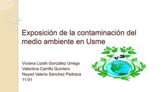 Exposición de la contaminación del
medio ambiente en Usme
Viviana Lizeth González Urrego
Valentina Carrillo Quintero
Nayed Valeria Sánchez Pedraza
11-01
 