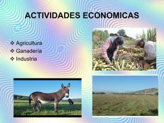 ACTIVIDADES ECONOMICAS
 Agricultura
 Ganadería
 Industria
 