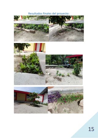 Resultados finales del proyecto:
 