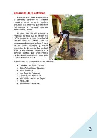 Desarrollo de la actividad
Como se mencionó anteriormente
la actividad consistió en sembrar
plantas en zonas que se encontraban
expuestas a la erosión y que tenían un
mal aspecto en contraste con las
demás zonas verdes.
El grupo 604 decidió empezar a
reforestar la zona que se ubican los
baños nuevos, en la parte de arriba del
COBAO plantel 22 Huatulco. Para eso
se ocuparon los primeros dos módulos
de la clase “Ecologia y medio
ambiente”, del día viernes 8 de abril del
2016. Y los alumnos comenzaron a
sembrar plantas que anteriormente
habían recolectado de sus casas y de
viveros de la comunidad.
El equipo estuvo conformado por los alumnos:
 Giovanni Galdámez Ventura
 Jorge Adrian Lucas Sánchez
 Karla Fernanda
 Luis Gerardo Velázquez
 Omar Olvera Hernández
 Victor Uriel Hernandez Reyes
 Jose Angel
 Alfredo Bohorhes Perez
 