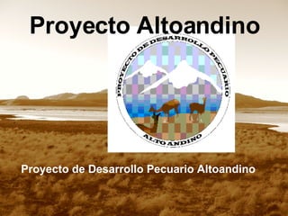 [object Object],Proyecto   Altoandino 