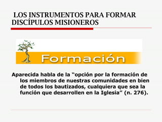 LOS INSTRUMENTOS PARA FORMAR DISCÍPULOS MISIONEROS Aparecida habla de la “opción por la formación de los miembros de nuestras comunidades en bien de todos los bautizados, cualquiera que sea la función que desarrollen en la Iglesia” (n. 276).   
