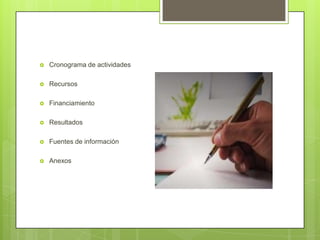    Cronograma de actividades

   Recursos

   Financiamiento

   Resultados

   Fuentes de información

   Anexos
 