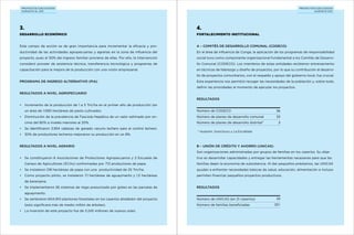 proyectos ejecutados
durante el 2011

proyectos ejecutados
durante 2011

3.

4.

Desarrollo Económico

Fortalecimiento Institucional

Este campo de acción es de gran importancia para incrementar la eficacia y pro-

A – Comités de Desarrollo Comunal (CODECO)

ductividad de las actividades agropecuarias y agrarias en la zona de influencia del

En el área de influencia de Conga, la aplicación de los programas de responsabilidad

proyecto, pues el 50% del ingreso familiar proviene de ellas. Por ello, la intervención

social tuvo como componente organizacional fundamental a los Comités de Desarro-

consideró proveer de asistencia técnica, transferencia tecnológica y programas de

llo Comunal (CODECO). Los miembros de estas entidades recibieron entrenamiento

capacitación para la mejora de la producción con una visión empresarial.

en técnicas de liderazgo y diseño de proyectos, por lo que su contribución al desarrollo de proyectos comunitarios, con el respaldo y apoyo del gobierno local, fue crucial.

Programa de Ingreso Alternativo (PIA)

Esta experiencia nos permitió recoger las necesidades de la población y, sobre todo,
definir las prioridades al momento de ejecutar los proyectos.

Resultados a nivel agropecuario
Resultados
•	 Incremento de la producción de 1 a 5 Tm/ha en el primer año de producción (en
un área de 1.090 hectáreas de pasto cultivado).
•	 Disminución de la prevalencia de Fasciola Hepática de un valor estimado por encima del 80% a niveles menores al 20%.
•	 Se identificaron 3.954 cabezas de ganado vacuno lechero para el control lechero.
•	 30% de productores lecheros mejoraron su producción en un 8%.
Resultados a nivel agrario

Número de CODECO

36

Número de planes de desarrollo comunal

33

Número de planes de desarrollo distrital*

3

* Huasmin, Sorochuco y La Encañada

B – Unión de Crédito y Ahorro (UNICAS)
Son organizaciones administradas por grupos de familias en los caseríos. Su obje-

•	 Se constituyeron 6 Asociaciones de Productores Agropecuarios y 2 Escuelas de
Campo de Agricultores (ECAs) conformadas por 713 productores de papa.

tivo es desarrollar capacidades y entregar las herramientas necesarias para que las
familias dejen la economía de subsistencia. Al dar pequeños préstamos, las UNICAS

•	 Se instalaron 218 hectáreas de papa con una productividad de 25 Tm/ha.

ayudan a enfrentar necesidades básicas de salud, educación, alimentación e incluso

•	 Como proyecto piloto, se instalaron 7,1 hectáreas de aguaymanto y 1,5 hectáreas

permiten financiar pequeños proyectos productivos.

de berenjena.
•	 Se implementaron 26 sistemas de riego presurizado por goteo en las parcelas de

Resultados

aguaymanto.
•	 Se sembraron 604.910 plantones forestales en los caseríos alrededor del proyecto
(esto significará más de medio millón de árboles).
•	 La inversión de este proyecto fue de 3.245 millones de nuevos soles.

Número de UNICAS (en 21 caseríos)
Número de familias beneficiadas

32
321

 
