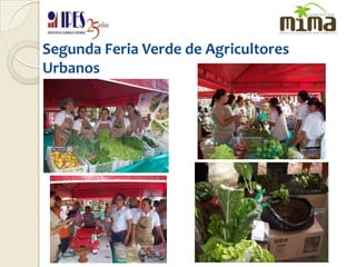 Segunda Feria Verde de Agricultores Urbanos