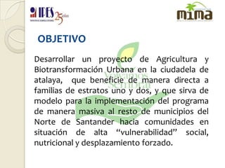 OBJETIVODesarrollar un proyecto de Agricultura y Biotransformación Urbana en la ciudadela de atalaya,  que beneficie de manera directa a familias de estratos uno y dos, y que sirva de modelo para la implementación del programa de manera masiva al resto de municipios del Norte de Santander hacia comunidades en situación de alta “vulnerabilidad” social, nutricional y desplazamiento forzado.