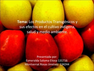 Presentada por: Esmeralda Saloma Eliosa 131716  Montserrat Rosas Jiménez  134244 Tema:  Los  Productos Transgénicos y sus efectos en el cultivo indígena, salud y medio ambiente. 