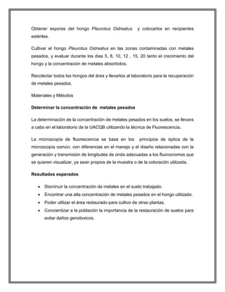 Obtener esporas del hongo Pleurotus Ostreatus y colocarlos en recipientes
estériles.
Cultivar el hongo Pleurotus Ostreatus en las zonas contaminadas con metales
pesados, y evaluar durante los dias 5, 8, 10, 12 , 15, 20 tanto el crecimiento del
hongo y la concentración de metales absorbidos.
Recolectar todos los hongos del área y llevarlos al laboratorio para la recuperación
de metales pesados.
Materiales y Métodos
Determinar la concentración de metales pesados
La determinación de la concentración de metales pesados en los suelos, se llevara
a cabo en el laboratorio de la UACQB utilizando la técnica de Fluorescencia.
La microscopía de fluorescencia se basa en los principios de óptica de la
microscopía común, con diferencias en el manejo y el diseño relacionadas con la
generación y transmisión de longitudes de onda adecuadas a los fluorocromos que
se quieren visualizar, ya sean propios de la muestra o de la coloración utilizada.
Resultados esperados
 Disminuir la concentración de metales en el suelo trabajado.
 Encontrar una alta concentración de metales pesados en el hongo utilizado.
 Poder utilizar el área restaurado para cultivo de otras plantas.
 Concientizar a la población la importancia de la restauración de suelos para
evitar daños genotoxicos.
 