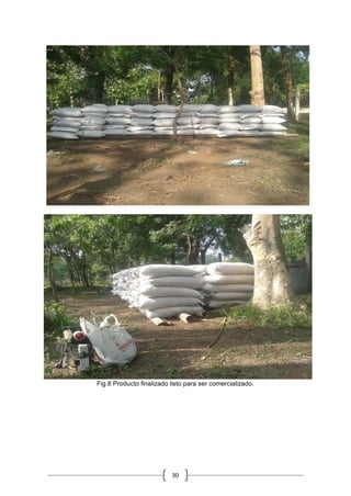 30
Fig.8 Producto finalizado listo para ser comercializado.
 