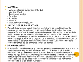  MATERIAL
 - Malla de plástico o alambre (2,5m2.)
- Alambre (2m.)
- 4 estacas o postes.
- Cartulina.
- Rotulador.
- Plástico.
- Espacio de terreno (1,5m).
 PAUTAS SOBRE LA PRÁCTICA
 Para el desarrollo de la actividad se elegirá una parte del jardín de la
escuela, no muy transitada, y a ser posible bajo algún árbol y en zona
soleada. Se preparará un cercado con los postes y la malla. La altura de la
malla debe tener las dimensiones adecuadas para que las basuras no
escapen cuando sople el viento. Se colocará en el cercado un cartel con un
breve mensaje explicando el objetivo de la actividad al resto de los alumnos
de la escuela, solicitando que no interfieran en él. (La actividad debería
comenzar antes de las primeras lluvias de otoño).
 OBSERVACIONES
 Observaréis periódicamente, y durante todo el curso los cambios que ocurre
sobre las basuras y su diferente evolución. (Los restos orgánicos se
descomponen y suelen desaparecer a los 10 días, al contrario que los
restos no orgánicos que varían según su naturaleza); también los cambios
de fauna (lombrices, moluscos, insectos...) que aprovechan los restos y
cómo las hojas de los árboles se incorporan a los ciclos de nutrientes
produciendo, a largo plazo, humedad.
 