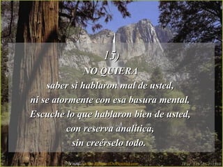 15)15)
NO QUIERANO QUIERA
saber si hablaron mal de usted,saber si hablaron mal de usted,
ni se atormente con esa basura mental.ni se atormente con esa basura mental.
Escuche lo que hablaron bien de usted,Escuche lo que hablaron bien de usted,
con reserva analítica,con reserva analítica,
sin creérselo todo.sin creérselo todo.
Visita: www.RenuevoDePlenitud.com
 