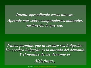 Intente aprendiendo cosas nuevas.Intente aprendiendo cosas nuevas.
Aprende más sobre computadoras, manuales,Aprende más sobre computadoras, manuales,
jardinería, lo que sea.jardinería, lo que sea.
Nunca permitas que tu cerebro sea holgazán.Nunca permitas que tu cerebro sea holgazán.
Un cerebro holgazán es la morada del demonio.Un cerebro holgazán es la morada del demonio.
Y el nombre de ese demonio esY el nombre de ese demonio es
AlzheimerAlzheimer..
Visita: www.RenuevoDePlenitud.com
 