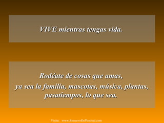 VIVE mientras tengas vida.VIVE mientras tengas vida.
Rodéate de cosas que amas,Rodéate de cosas que amas,
ya sea la familia, mascotas, música, plantas,ya sea la familia, mascotas, música, plantas,
pasatiempos, lo que sea.pasatiempos, lo que sea.
Visita: www.RenuevoDePlenitud.com
 