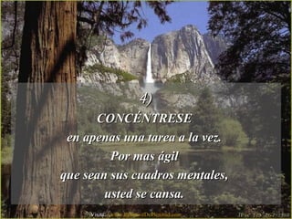 4)4)
CONCÉNTRESECONCÉNTRESE
en apenas una tarea a la vez.en apenas una tarea a la vez.
Por mas ágilPor mas ágil
que sean sus cuadros mentales,que sean sus cuadros mentales,
usted se cansa.usted se cansa.
Visita: www.RenuevoDePlenitud.com
 