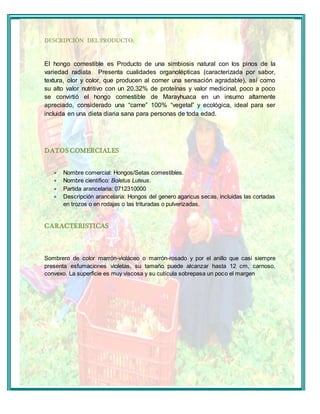 DESCRIPCIÓN DEL PRODUCTO: 
El hongo comestible es Producto de una simbiosis natural con los pinos de la 
variedad radiata Presenta cualidades organolépticas (caracterizada por sabor, 
textura, olor y color, que producen al comer una sensación agradable), así como 
su alto valor nutritivo con un 20.32% de proteínas y valor medicinal, poco a poco 
se convirtió el hongo comestible de Marayhuaca en un insumo altamente 
apreciado, considerado una “carne” 100% “vegetal” y ecológica, ideal para ser 
incluida en una dieta diaria sana para personas de toda edad. 
DATOS COMERCIALES 
 Nombre comercial: Hongos/Setas comestibles. 
 Nombre científico: Boletus Luteus. 
 Partida arancelaria: 0712310000 
 Descripción arancelaria: Hongos del genero agaricus secas, incluidas las cortadas 
en trozos o en rodajas o las trituradas o pulverizadas. 
CARACTERISTICAS 
Sombrero de color marrón-violáceo o marrón-rosado y por el anillo que casi siempre 
presenta esfumaciones violetas, su tamaño puede alcanzar hasta 12 cm, carnoso, 
convexo. La superficie es muy viscosa y su cutícula sobrepasa un poco el margen 
 