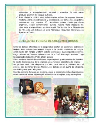 extracción, el aprovechamiento racional y sostenible de este nuevo 
producto gourmet del bosque cultivado. 
 Para ofrecer al público estas trufas o setas andinas, la empresa tiene una 
moderna planta deshidratadora y envasadora, así como dos acogedores 
restaurantes que preparan 15 exquisitos potajes ciento por ciento 
orgánicos, según comprobamos durante nuestra visita efectuada los 
días siete y ocho últimos, en vísperas del Día Mundial de la Alimentación 
(el 16), esta vez dedicado al tema “Conseguir Seguridad Alimentaria en 
Épocas de Crisis”. 
DIFERENTES FORMAS DE CONSUMIR HONGO 
Entre las delicias ofrecidas por la cooperativa resaltan los siguientes: cebiche de 
hongos, lomo saltado con hongos, hongos a la parrilla, chicharrón de hongos, 
arroz chaufa con hongos y tallarín saltado con hongos; cuya preparación corre a 
cargo del Área de Turismo y Gastronomía de la CAT “Atahualpa Jerusalén”, bajo 
la responsabilidad del Sr. Pedro Chilón Quispe. 
Para mantener intactas las cualidades organolépticas y nutricionales del producto, 
la planta deshidratadora de la empresa aplica métodos absolutamente limpios. 
Así procesa unos 250 kilogramos por mes, para ofrecer el producto seco al 
público, bajo la marca “Buenas Nuevas”, en bolsitas de un cuarto de kilogramo, 
medio kilogramo y un kilogramo. 
Es más, como la demanda es creciente, ahora la cooperativa induce la producción 
en los meses de estiaje regando por aspersión a sus mejores bosques de pinos. 
 