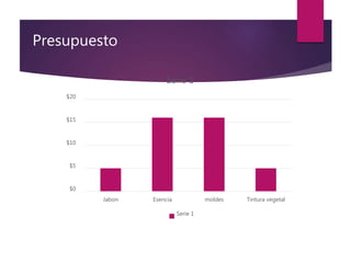 Presupuesto
$0
$5
$10
$15
$20
Jabon Esencia moldes Tintura vegetal
Serie 1
Serie 1
 