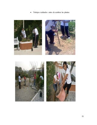 21
 Trabajos realizados antes de sembrar las plantas
 