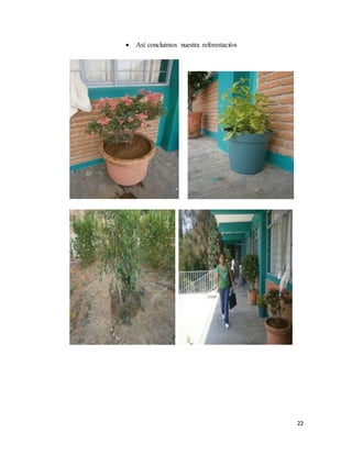 22
 Así concluimos nuestra reforestación
 