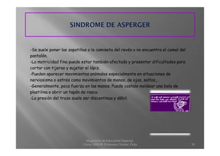 Proyecto Discapacidad Belen Ubeda Marti