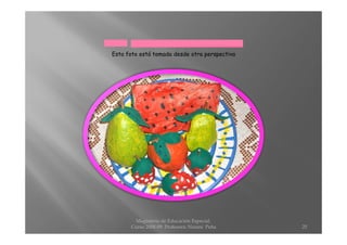 Proyecto Discapacidad Belen Ubeda Marti