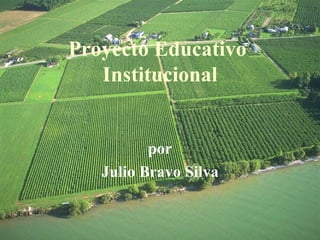 Proyecto Educativo  Institucional por Julio Bravo Silva 