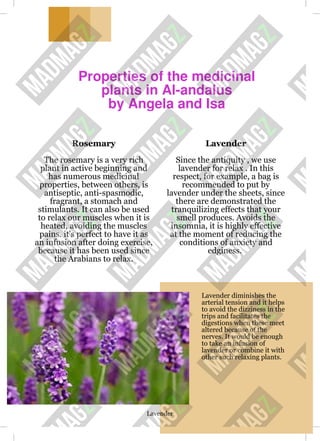 Properties of the medicinal
plants in Al-andalus
by Angela and Isa
Rosemary
The rosemary is a very rich
plant in active beginning and
has numerous medicinal
properties, between others, is
antiseptic, anti-spasmodic,
fragrant, a stomach and
stimulants. It can also be used
to relax our muscles when it is
heated, avoiding the muscles
pains. it's perfect to have it as
an infusion after doing exercise,
because it has been used since
the Arabians to relax.
Lavender
Since the antiquity , we use
lavender for relax . In this
respect, for example, a bag is
recommended to put by
lavender under the sheets, since
there are demonstrated the
tranquilizing effects that your
smell produces. Avoids the
insomnia, it is highly effective
at the moment of reducing the
conditions of anxiety and
edginess.
Lavender diminishes the
arterial tension and it helps
to avoid the dizziness in the
trips and facilitates the
digestions when these meet
altered because of the
nerves. It would be enough
to take an infusion of
lavender or combine it with
other such relaxing plants.
Lavender
 