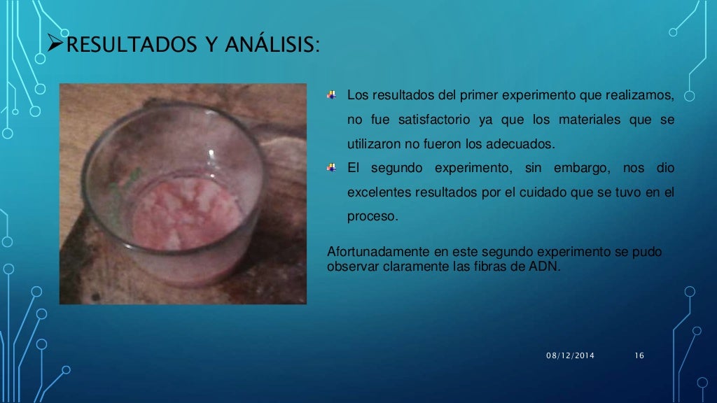 Informe De Laboratorio Extraccion De Adn De Higado De Pollo