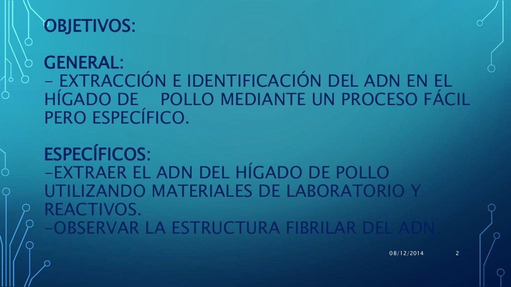 Proyecto: Extracción del ADN del hígado de pollo.