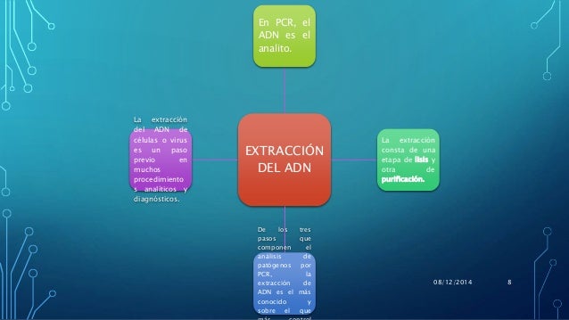 Proyecto: Extracción del ADN del hígado de pollo.