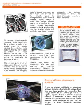 BENEMERITA UNIVERSIDAD AUTONOMA DE PUEBLAUNA NUEVA
ALTERNATIVA| NÚMERO 2016
4
El proceso frecuentemente
comienza con la construcción
de un andamio a partir de un
amplio grupo de fuentes
posibles, desde proteínas hasta
plásticos. Una vez que se crean
los andamios se pueden
introducir células con o sin
factores de crecimiento. Si el
entorno es adecuado, se
desarrolla un tejido
Otro método para crear un
tejido nuevo utiliza un andamio
existente. Las células de un
órgano donado se desprenden
y el andamio de colágeno
restante se usa para crecer un
tejido nuevo. Este proceso se
ha utilizado para la
bioingeniería de tejidos como el
corazón, hígado, pulmón y
riñón. Este enfoque permite
utilizar el andamiaje con el
tejido humano descartado
durante la cirugía y combinarlo
con las propias células del
paciente para hacer órganos
más compatibles y disminuir el
rechazo inmunológico que
normalmente se da en los
trasplantes.
Aunque esta técnica es
innovadora aún hay que
encontrar las matrices
extracelulares idóneas, la
fuente de células troncales más
adecuada, las mejores
condiciones de cultivo, así
como el manejo perioperativo
de los pacientes.
CELULAS MADRE
Un biomaterial hecho de
intestinos de cerdos que
se puede utilizar para
curar heridas en humanos.
Cuando se humedece, el
material llamado SIS, es
flexible y fàcil de manejar
Fuente: Stephen Badylak,
Universidad de Pittburgh
Órganos artificiales utilizados en la
actualidad
El uso de órganos artificiales en trasplantes
humanos involucra el empleo del ensayo clínico
para que éstos puedan ser aprobados. Este
ensayo consta de tres etapas: producción de
órganos, experimentación en animales o ensayo
preclínico y, finalmente, la etapa clínica que
involucra la experimentación en humanos. Se han
realizado pocos trasplantes de este tipo; sin
embargo, se están obteniendo resultados
positivos
 