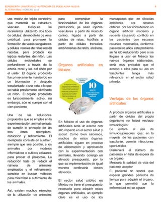 BENEMERITA UNIVERSIDAD AUTONOMA DE PUEBLAUNA NUEVA
ALTERNATIVA| NÚMERO 2016
8
una matriz de tejido conectivo
que mantenía su estructura
vascular. Después se
recelulariza utilizando dos tipos
de células: de endotelio de vena
umbilical, para promover la
formación de vasos sanguíneos
y células renales de ratas recién
nacidas, para producir los
tejidos restantes del riñón. Las
células endoteliales se
perfundieron a través de la
arteria renal y las del riñón por
el uréter. El órgano producido
fue primeramente mantenido en
un biorreactor y después
trasplantado a una rata a la que
se había previamente eliminado
un riñón. El órgano producido
es funcionalmente activo, sin
embargo, aún no cumple con el
cien porciento
Una de las soluciones
propuestas que se emplea en la
experimentación animal se trata
de cumplir el principio de las
tres erres: reemplazo,
reducción y refinamiento. El
reemplazo consiste en sustituir,
siempre que sea posible, a los
animales por modelos
informáticos o cultivos celulares
para probar el protocolo. La
reducción trata de reducir el
número de animales
empleados y el refinamiento
consiste en buscar métodos
para minimizar el sufrimiento de
los animales.
Así, existen muchos ejemplos
de la utilización de animales
para comprobar la
funcionalidad de los órganos
producidos, ya sean injertos
vasculares a partir de músculo
canino, hígado a partir de
células de ratas, hipófisis a
partir de células troncales
embrionarias de ratón, etcétera.
Órganos artificiales en
México
En México el uso de órganos
artificiales sería un avance con
alto impacto en el sector salud y
social. Como bien sabemos,
muchos de estos órganos
artificiales siguen en proceso
de elaboración y aprobación
con la experimentación con
animales, llevando consigo un
elevado presupuesto, por lo
que su implementación de igual
manera conllevaría costos
elevados.
El sector salud público en
México no tiene el presupuesto
necesario para adquirir estos
órganos artificiales, un ejemplo
claro es el uso de los
marcapasos que en décadas
anteriores era costoso
obtener por ser considerado un
órgano artificial moderno y
reciente causando conflicto en
los pacientes con escasos
recursos monetarios, conforme
pasaron los años este problema
se ha ido reduciendo pero si se
llegase a usar en México los
nuevos órganos elaborados,
sería muy probable que el
acceso a ellos para su uso en
trasplantes tenga más
relevancia en el sector salud
privado.
Ventajas de los órganos
artificiales
Al producir órganos artificiales a
partir de células del propio
organismo no habrá rechazo
inmunológico
Se evitará el uso de
inmunosupresores que, en la
mayoría de los pacientes con
trasplante, permite infecciones
oportunistas
Disminuirá el número de
pacientes en lista de espera de
un órgano
Mejorará la calidad de vida del
paciente aceptor
El paciente no tendrá que
esperar grandes periodos de
tiempo para adquirir el órgano,
lo que permitirá que la
enfermedad no se agrave
 
