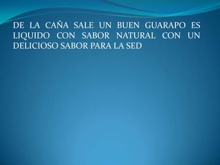 Sembrar en una hectárea de tierra 3.000 matas de cañas listas para su producción y venta.DEFINICION DEL PRODUCTOLa caña de azúcar es una gramínea tropical, un pasto gigante emparentado con el sorgo y el maíz en cuyo tallo se forma y acumula un jugo rico en sacarosa, compuesto que al ser extraído y cristalizado en el ingenio forma el azúcar. La sacarosa es sintetizada por la caña gracias a la energía tomada del sol durante la fotosíntesis. 