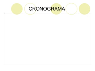 CRONOGRAMA   