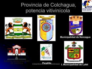 Provincia de Colchagua, potencia vitivinícola  Municipalidad de Nancagua   I. Municipalidad de Lolol Peralillo 