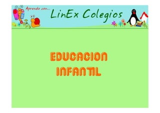Proyecto Linex 2006