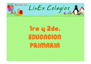 Proyecto Linex 2006