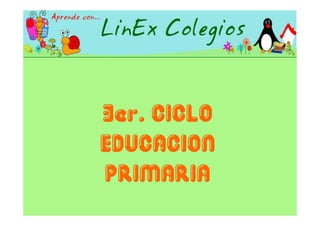 Proyecto Linex 2006