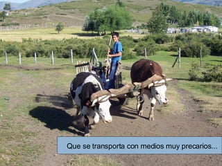Que se transporta con medios muy precarios... 