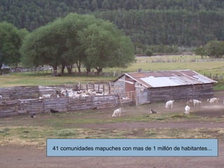 41 comunidades mapuches con mas de 1 millón de habitantes... 